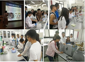 公共技術服務中心成功舉辦2018年儀器應用和實驗技能培訓班